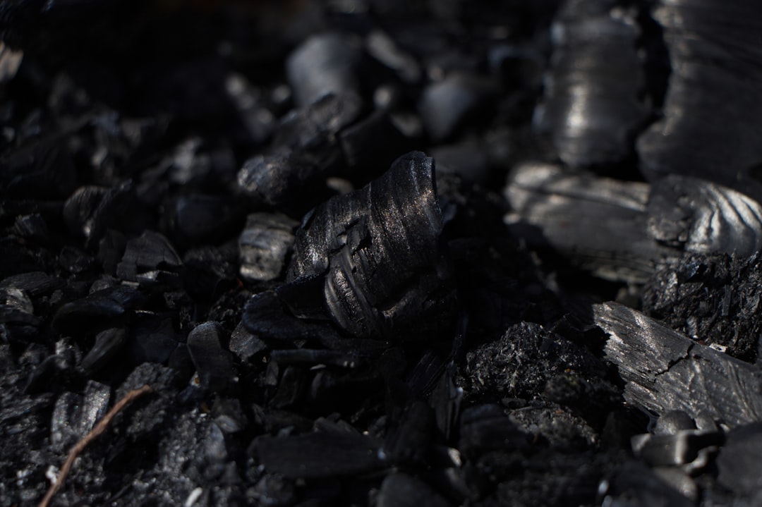 close-up-of-burnt-wood-and-charcoal-pieces-ey2cnqwslw8